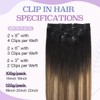 Sindra Clip in Hair Extensions Real Human Hair Balayage Clip