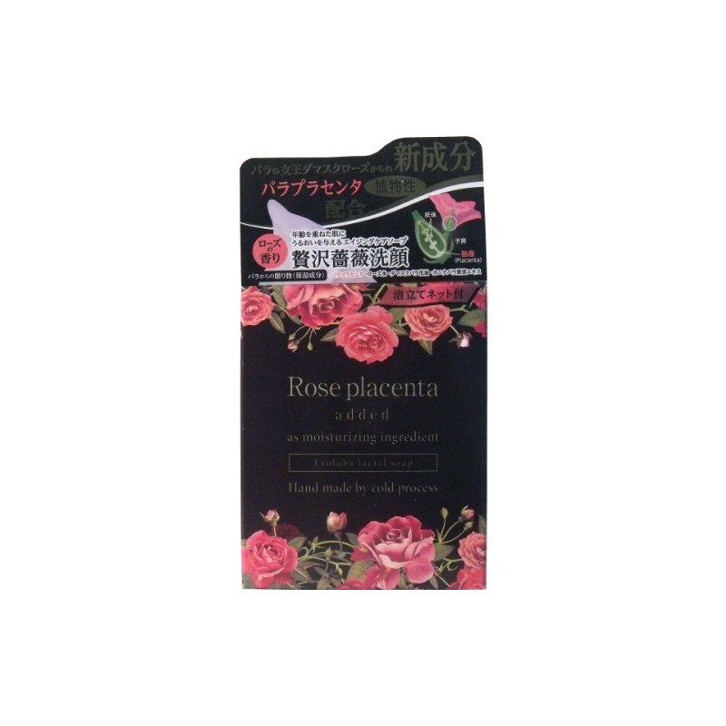 進製作所 エボルバフェイシャルソープ 100g