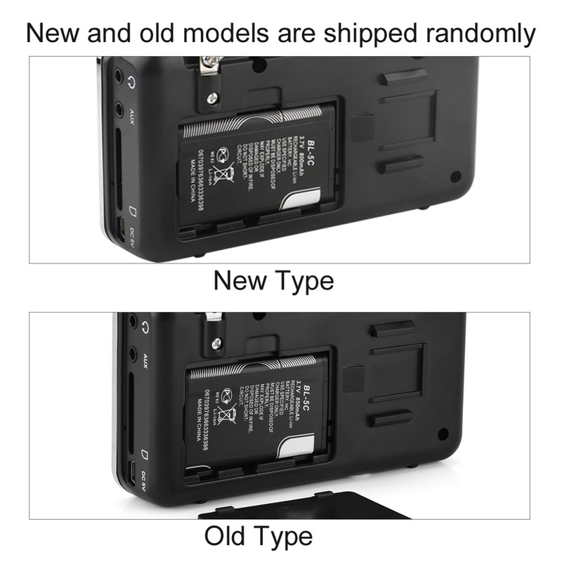 Portable Digital Audio Player HiFi Music Speaker Support FM Radio