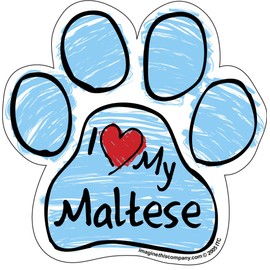 Imagine This Scribble Paw Magnet, Maltese