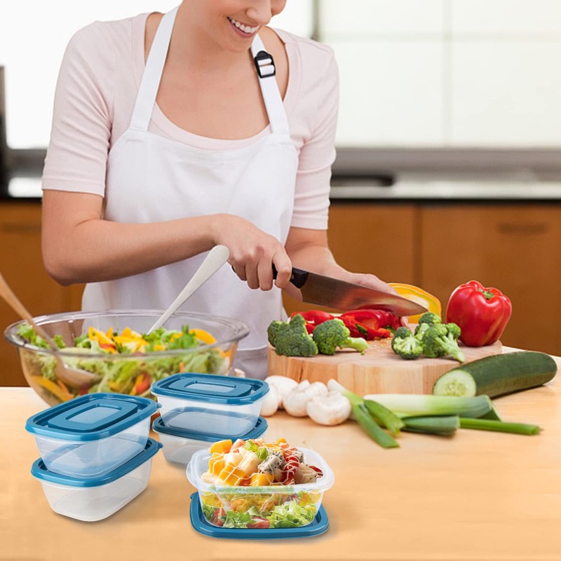 EFISH 10PCS Rectangle Plastic Portion Box Sets with Lids.Food Storage