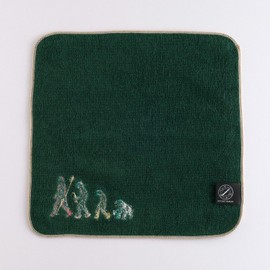 グリーンフラッシュ STUDY HOLIC タオルハンカチ 進化生物学 ST-302