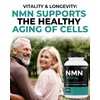 Renew Actives RENEW ACTIVES NMN Supplement 500mg per Serving C