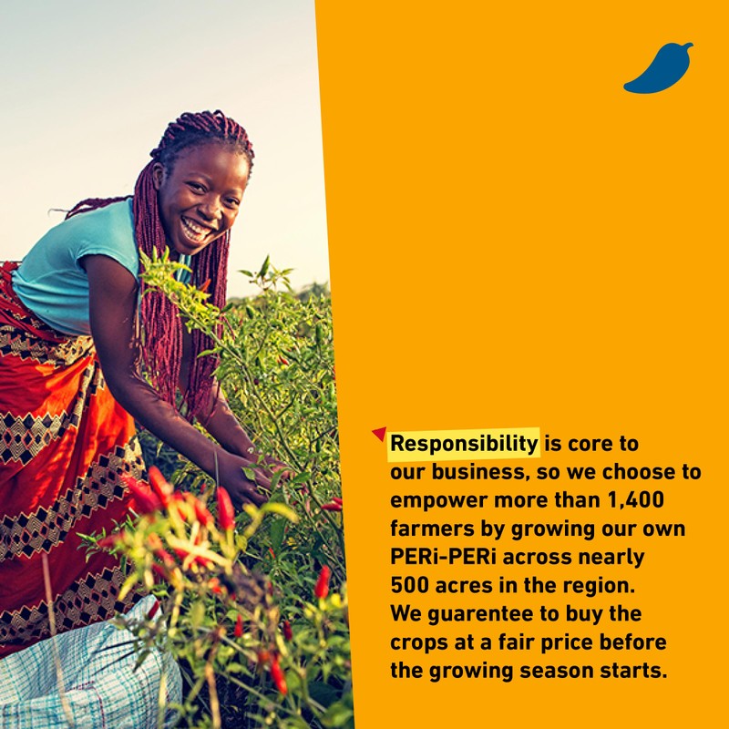 Nando's PERi PERi Artisan Hot Sauce Variety Gift Pack -