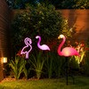Solar Flamingo Garden Stake Lights for Outdoor Decor – 3