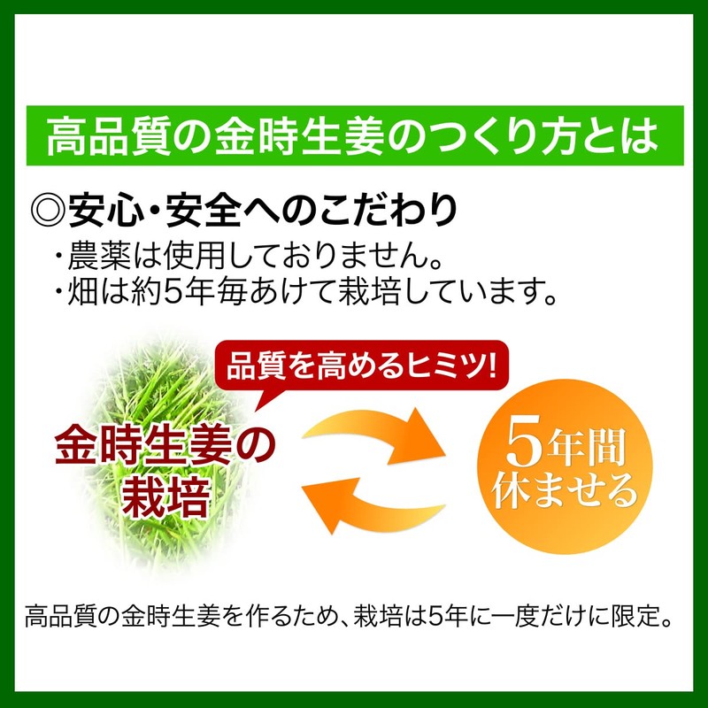 サンワ食研 金時しょうが粒 1袋（60粒）1ヵ月分