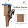 Kingsyard Recycled Plastic Suet Bird Feeder, Tail Prop Suet Feeder