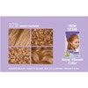Dark and Lovely Fade Resistant Rich Conditioning Colour Hair Colour