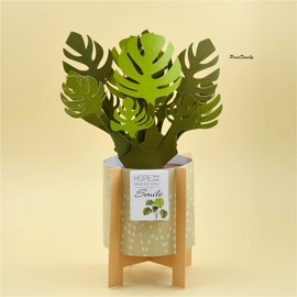 PinesFamily G12-3D Pop Up Monstera Card for birthday, decoration, thank you, etc.