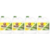 RustAid GSX00101 Goof, 1 Gallon GAL Rust Stain Remover (Four