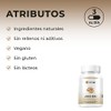 Bio B Jengibre 2 Pack de 60 cápsulas veganas cada
