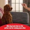 Milk-Bone Soft & Chewy Dog Training Treats Made with Real
