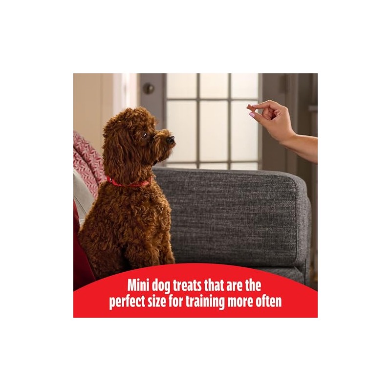 Milk-Bone Soft & Chewy Dog Training Treats Made with Real