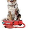 DOCO Retractable Bungee Dog Leash for Running Walking Jogging, Training,