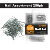 250pk Hardware Assorted Nails Set