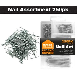 250pk Hardware Assorted Nails Set