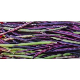 Wax 500+seed 4oz Top Pick Pinkeye Purple Hull Peas Cow Pea Germ:80% Benefits St.Jude
