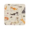 Madeleine Floyd Cats Corked Coaster Pk4