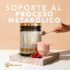 Cla L-carnitina Nosurrender.club 500g En Polvo