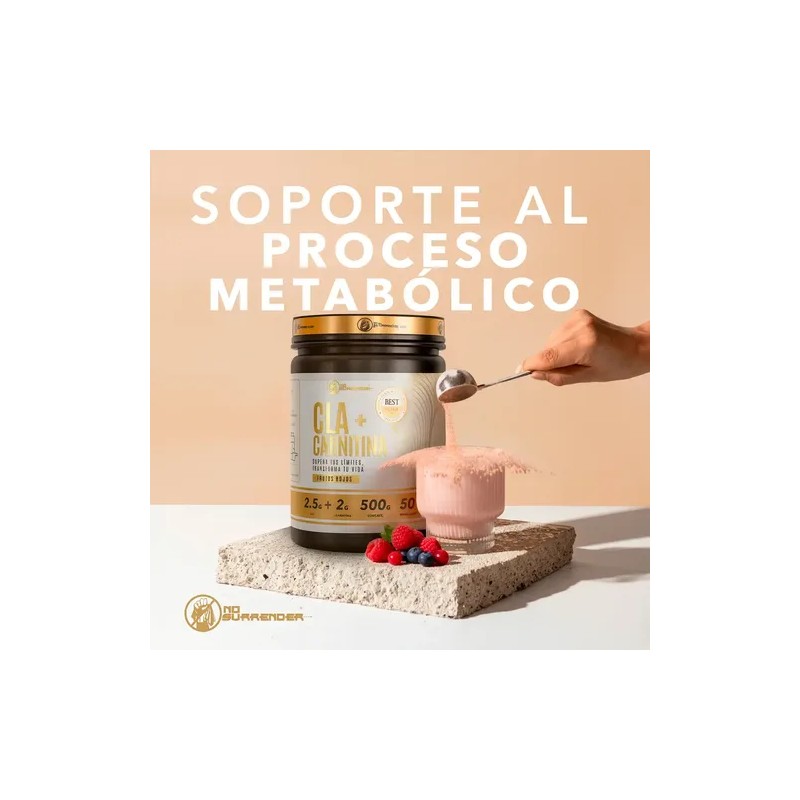 Cla L-carnitina Nosurrender.club 500g En Polvo