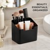 2-Pack 2-Compartment Desktop Storage Organizers for Remotes, Cosmetics and Office