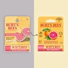 Burt's Bees Bálsamo labial 100% natural, caja de ampolla de