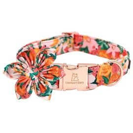 Lionheart Glory Dog Collar, Dog Collar with Flower, Cute Floral Pattern Pet Collar Adjustable Dog Collar for Medium Dogs