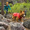 RUFFWEAR Abrasion-Resistant Dog Jacket with Fleece Lining, Large Breeds, Size: