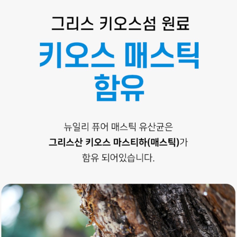 Wolto Market Partner How to take Mastic Gum: 2 boxes