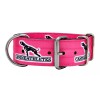 Canine Athletes 2" 4-Ply Pink Nylon Heavy Duty Dog Collar