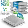 Home Basics Scouring Pads, (Pack of 4), Silver | Dual