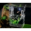 FGXY Aquarium Fish Breeding Box, Plastic Fish Isolation Box, Multi-Functional