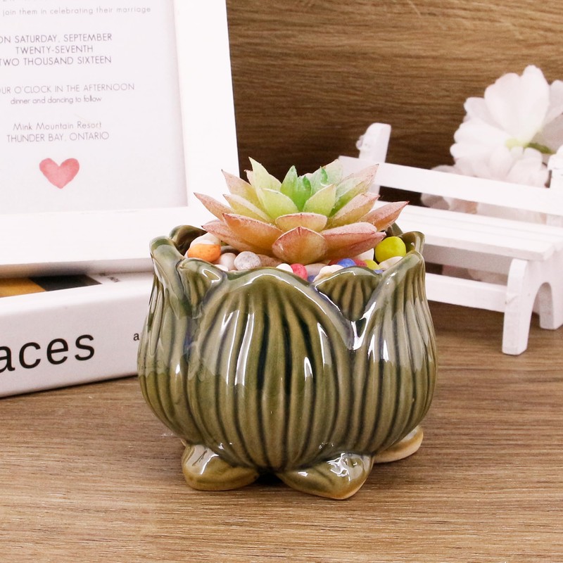 Segreto Creative Succulent Plant Pots Ceramic Planter