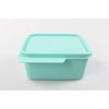Tupperware Fridge 500 ml Mint Cool Corner Fresh Master Christmas