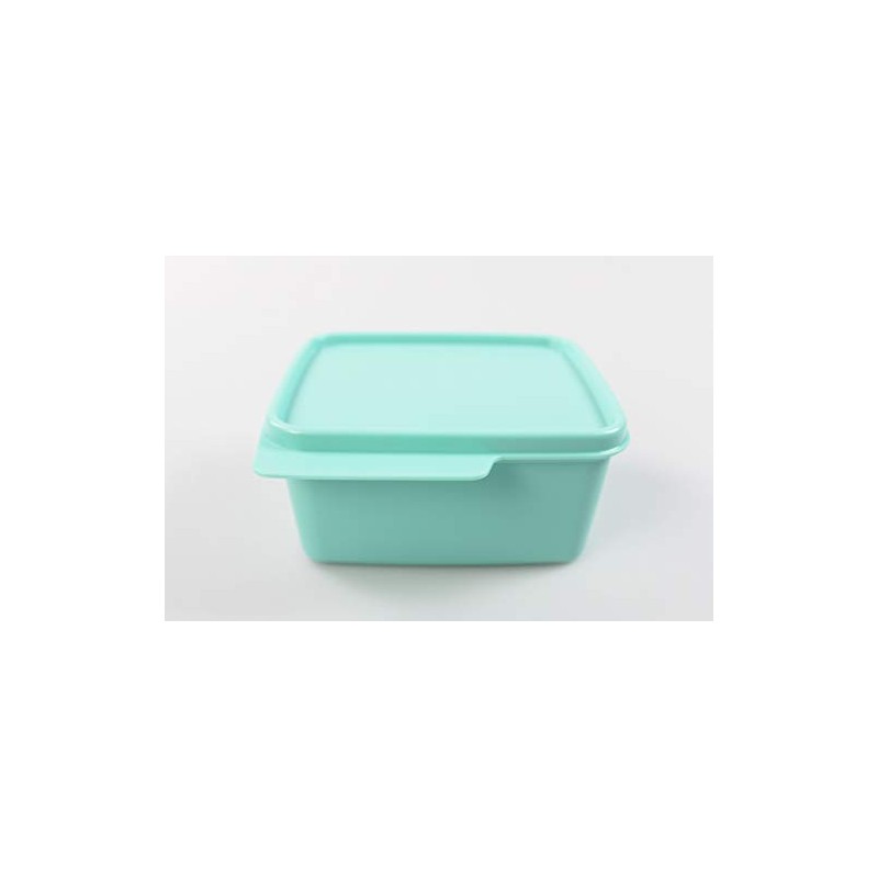 Tupperware Fridge 500 ml Mint Cool Corner Fresh Master Christmas
