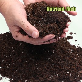 Organic Avocado Tree Potting Soil Mix 2qt, Enhance Growth and Transplant Success for Avocado Plants