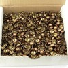 C.S. Osborne 250 Pcs 3/4" Diameter Old Gold Speckled Red