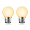 G45 LED Light Bulbs with E26 Base | 2700K Warm