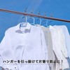 Shimomura Planning 30899 Clothespins Rod Pinch Stainless Steel Large Size