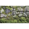 BIGGIES- Window Well Scenes Wall Art- Moss, 60" x 120"
