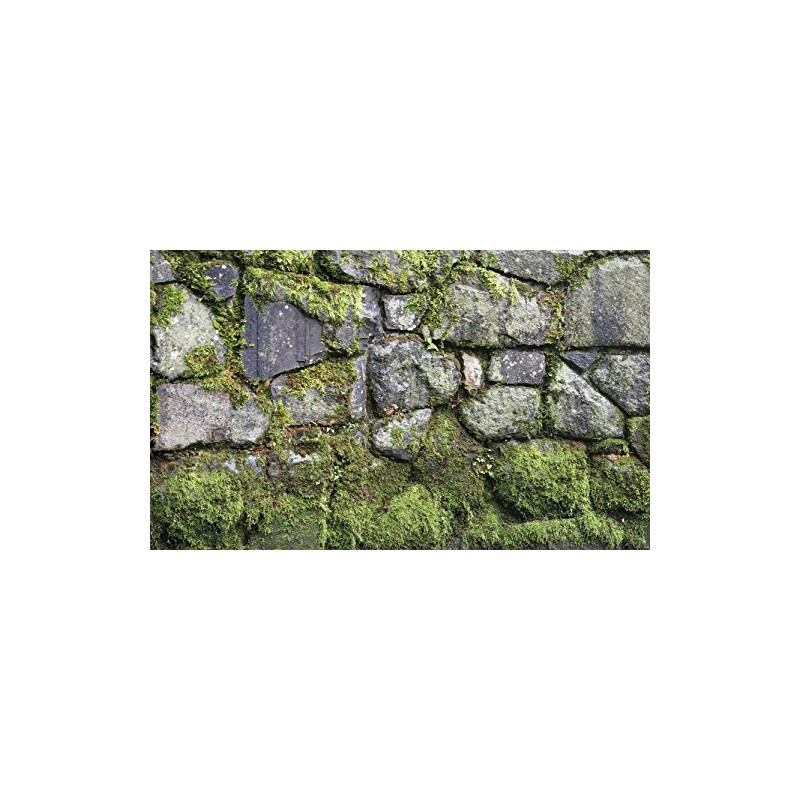 BIGGIES- Window Well Scenes Wall Art- Moss, 60" x 120"