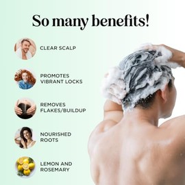 Clarifying Shampoo for Oily Hair and Oily Scalp - Daily Natural Lemon Hair Care for Women and Men Sulfate Free Anti Itch Cleanser - Pure Essential Oil