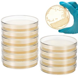 Zerodeko 10pcs Prepoured Agar Plates 2.75 Inch Petri Dishes with Nutrient Agar, Sterile Lab Petri Plates for Microbiology, Science Experiments and Mycology
