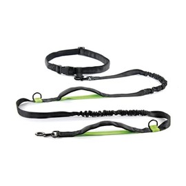 Record - Jogging Dog Leash - Extendable Lead - Made of Nylon - With Elastic Anti-Pull Extender - Length 215-270cm - Black and Green