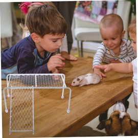 Kisangel Set of Rutin Chicken Toys Safe Entertaining Plaything for Little Chickens Sturdy Chicken Perch Stand Ladder