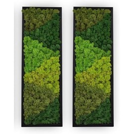 yersiz Large Moss Pattern Wall Art, Real Moss Wall Art for Living Room & Bedroom, Set of 2 Vintage Wall Panels for Interior Wall Decor, Bathroom & Home Decor, Eco-Friendly Natural Green Wall Decor