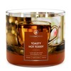 Toasty Hot Toddy Large 3-Wick Candle