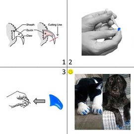 Purrdy Paws Soft Nail Caps 60 Packs for Cats - Clear Large