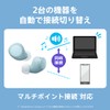 Sony (SONY) Fully Wireless Earphones WF-C510 / Lightweight Compact 4.6g