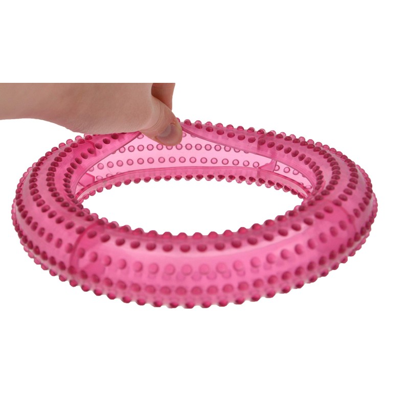 The Pet Store Treat Ring Dog Toy
